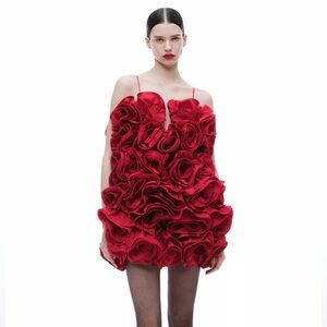 Magda Butrym x H&M Ruffled Satin Dress